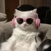 akaksoz