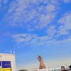 mhameddr296