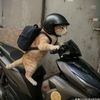 chandira_rawrr