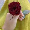khurramshahbaz011