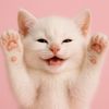 The Cat Saves the World