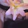 yopa_kore