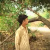 sohail.palijo27