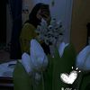 asmaa.gohar97