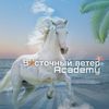 equestriansh_x3