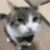 lun1ck