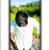najmul.nx4