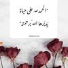hafedalialshibani