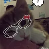 indyag1