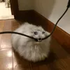 jujuuxhsi