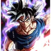 son.goku5088