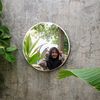 tungiimupp