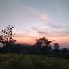tyya928