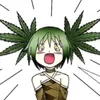 marijuanars