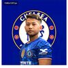 ko.shinechelsea