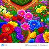 md.salauddin6463