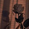 textorojo_6565