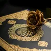 user6350231200672