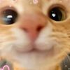 pinkgirlie6668