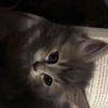 rodr_c1