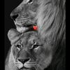 amalamoula32123
