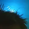 aryysyahputra_477