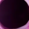 1_w___.1