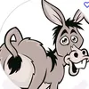 misterdonkey53