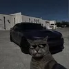 korexabire7