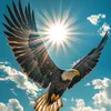 sajad_f6