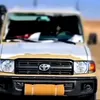 sahrawi.rasta