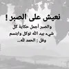 rodayna.tanjawiya6