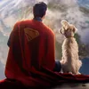 superman_shit
