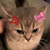 bellacats3