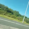 dan.cov.uk