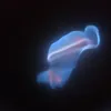 laracheel2