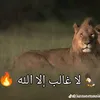ahmed.ne3o0
