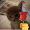 zel_7890