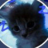 viprr_n_friendzz