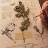 willowsart3
