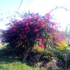 santi.candriati6