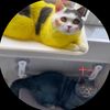 Picatchu