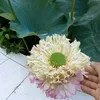 kimtruc922