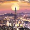 korea803