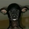 xynhyeumeo