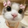 gsky_loverss24