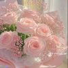 diansary259