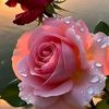user1115656114015