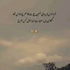 kazmi.syed021