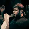 znll81